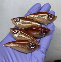 Load image into Gallery viewer, Glow Shiner Mugshot 60